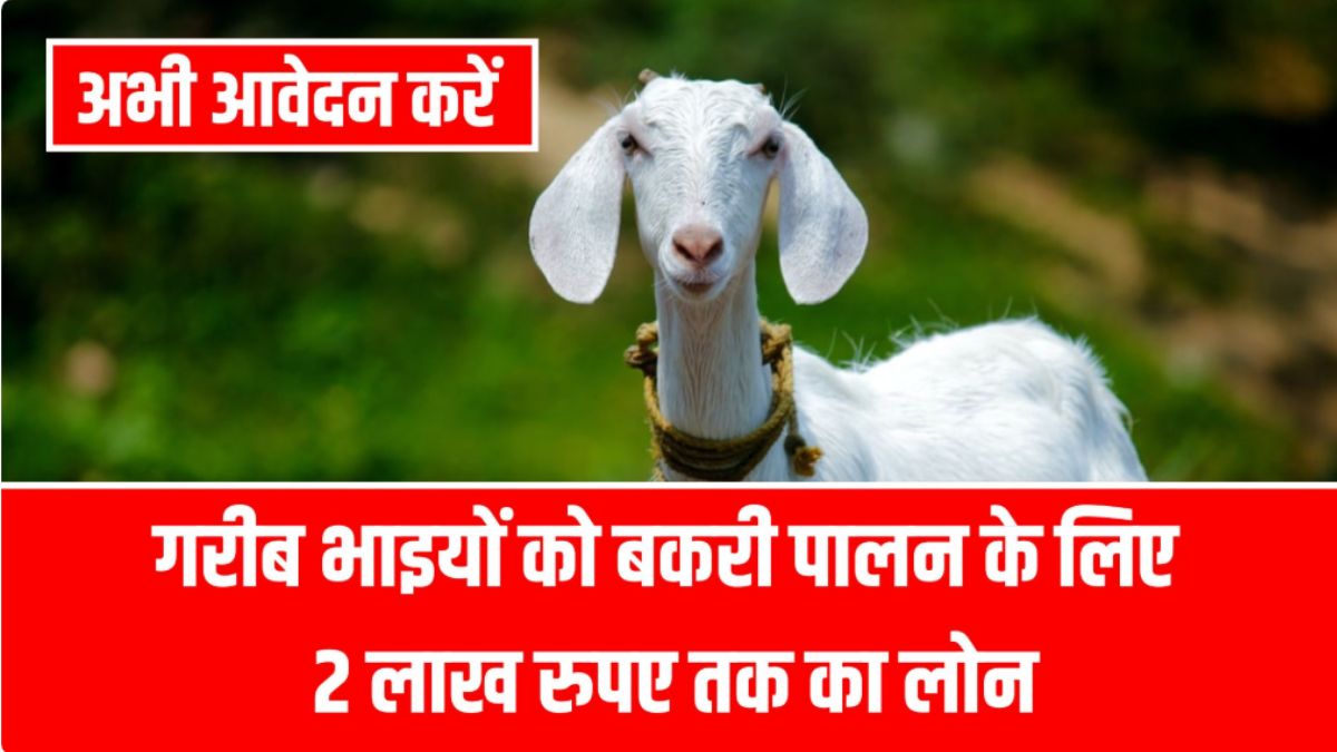 Bakri Palan Loan Apply 2026