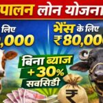 Pashu Palan Loan Yojana