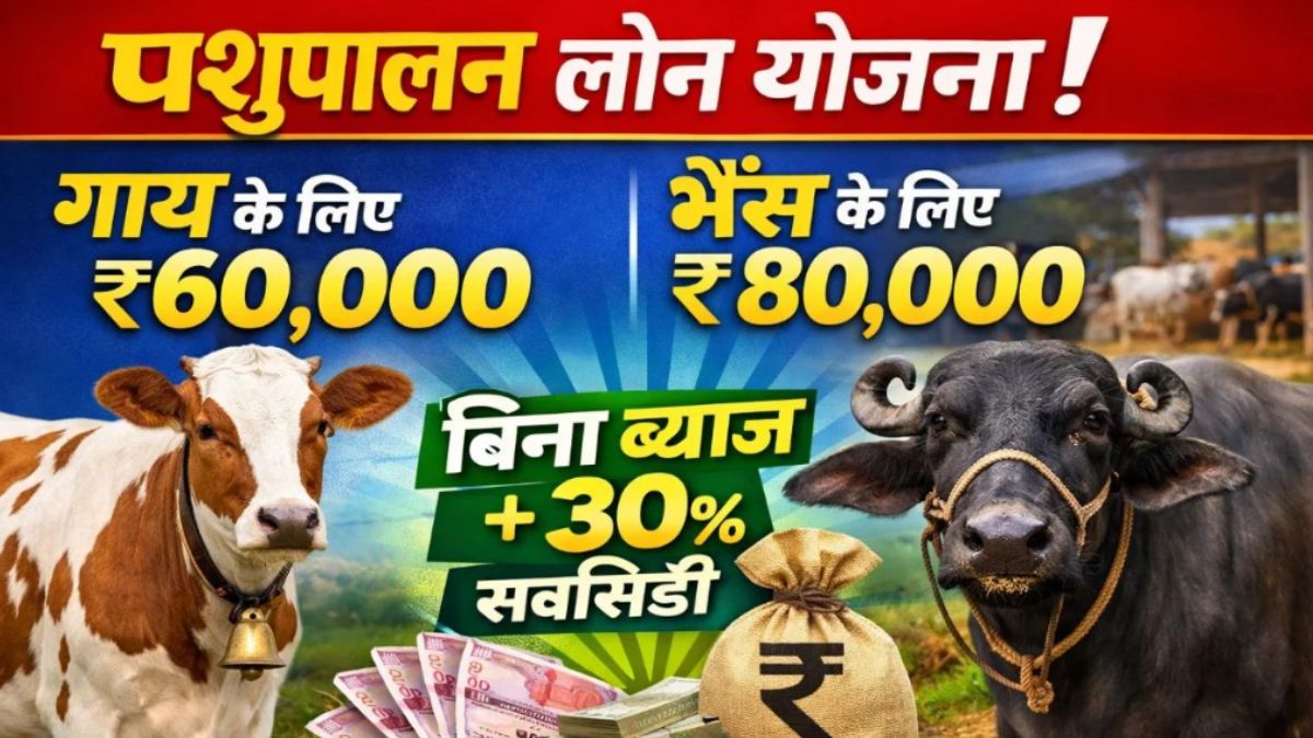 Pashu Palan Loan Yojana