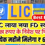 LIC Popular Savings scheme